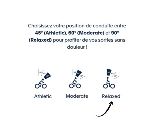 Selle Avenue Relaxed Selle Royal