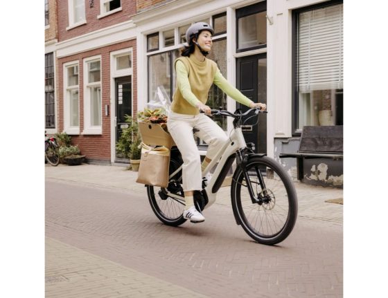 Panier vélo de ville Basil Cento Neo MIK Sable – 21L – fixation MIK incluse