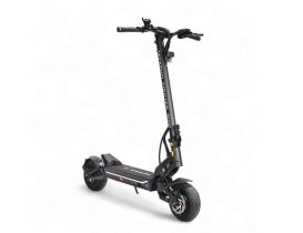 Trottinette électrique TEVERUN Fighter Mini Eco